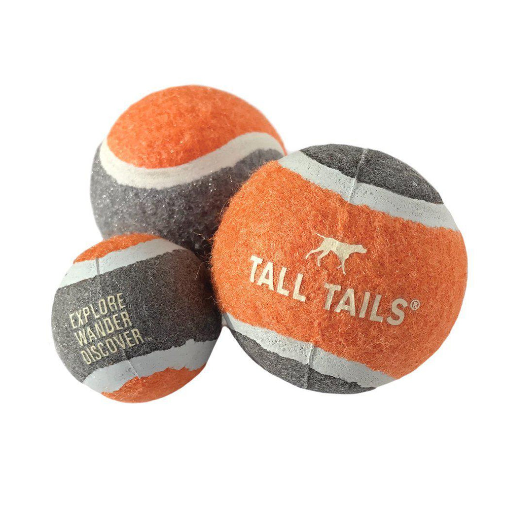 Sport Ball – Medium Fetch 2.5
