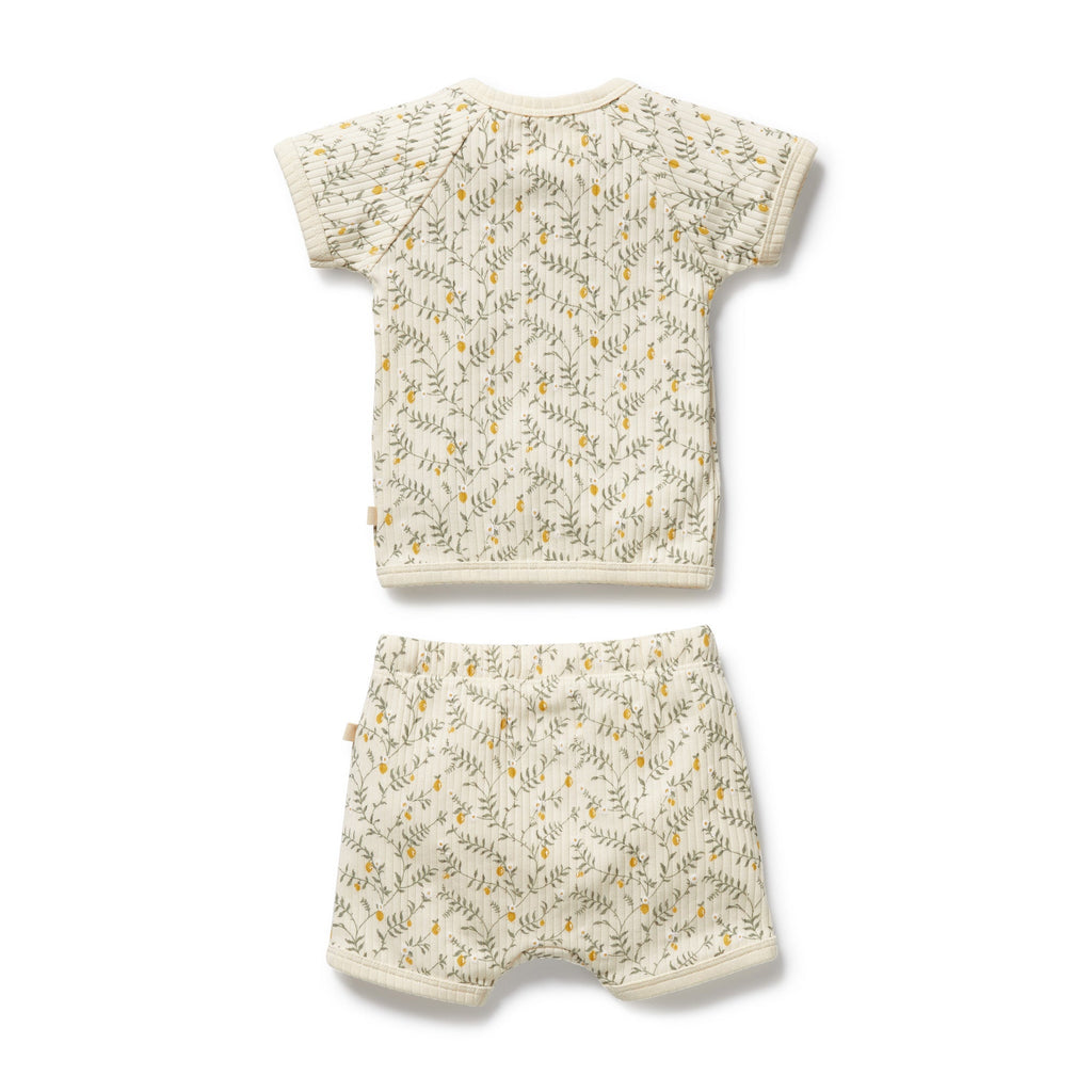 Lemon Leaf Organic Kimono Set