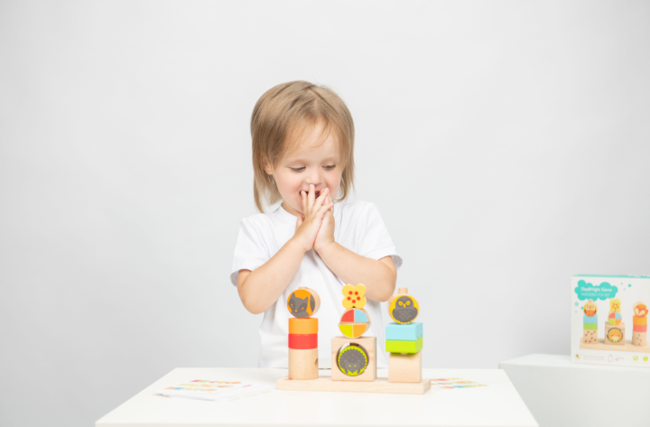 Day and night game wooden toy set